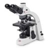 Motic BA-310 Series Upright Microscopes