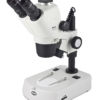 Motic SMZ-161 Stereo Microscopes