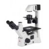 Motic Microscópio Invertido Série AE31 Elite